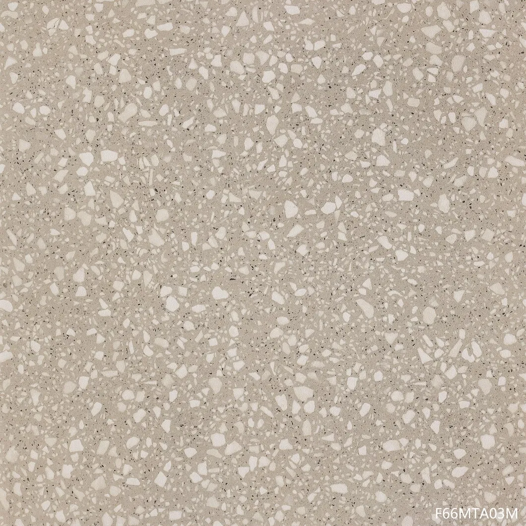 600X600mm 4 Color on Sale Building Material Rustic Porcelain Tiles (F66MTA05M)