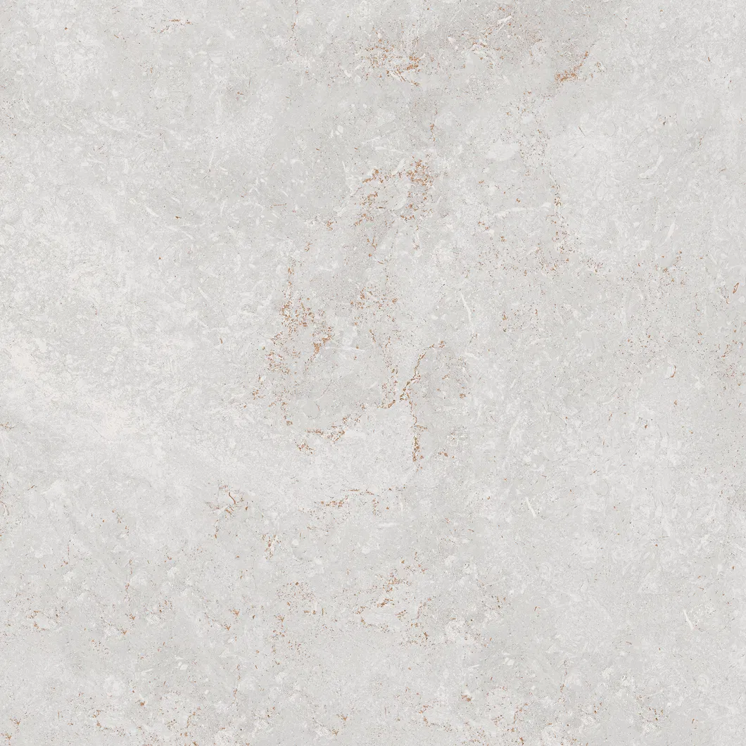 600X600mm Bathroom Tiles Building Material Rustic Porcelain Tiles (WT6203AM)