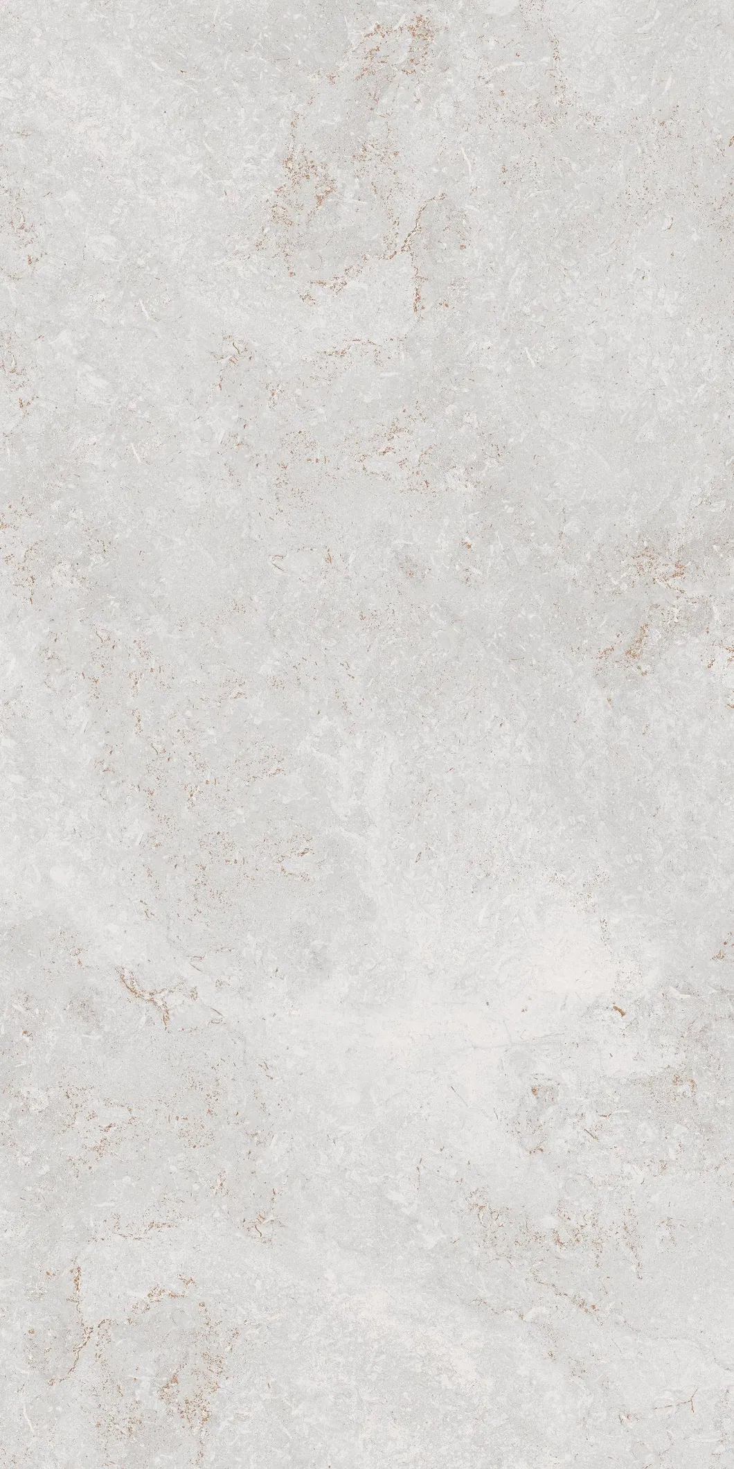 600X600mm Bathroom Tiles Building Material Rustic Porcelain Tiles (WT6203AM)