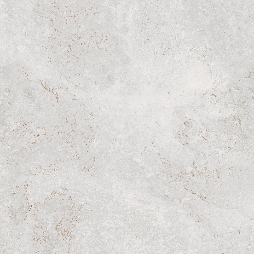 600X600mm Bathroom Tiles Building Material Rustic Porcelain Tiles (WT6203AM)