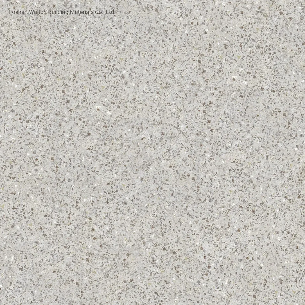 600X600mm Copy Quartz Design on Sale Building Material Rustic Porcelain Tiles (WTZ6602)