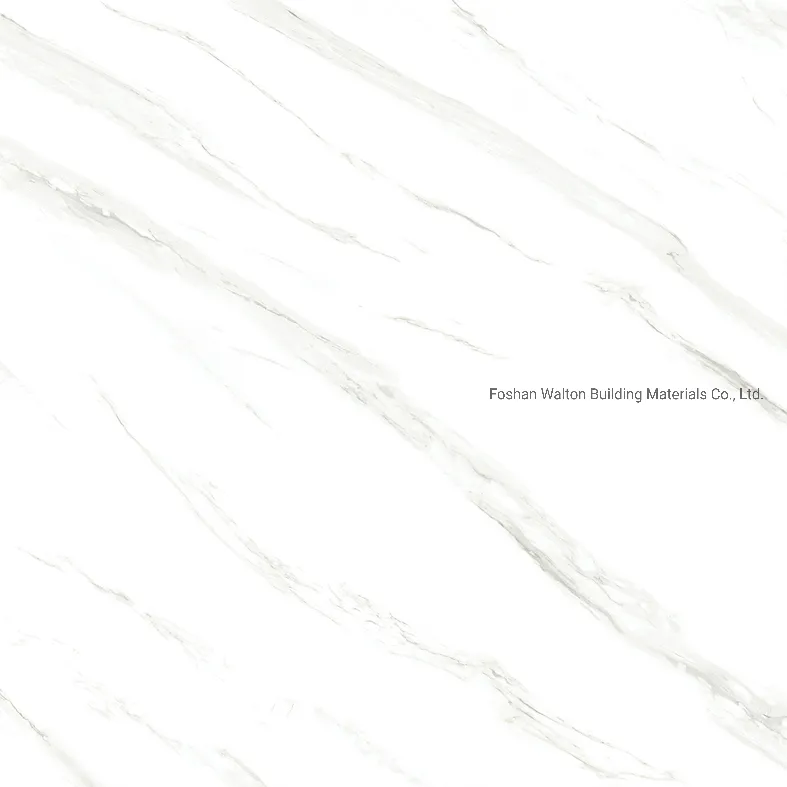 600X600mm on Sale Building Material Glazed Porcelain Tile Floor Tile (CK6Y019PA)