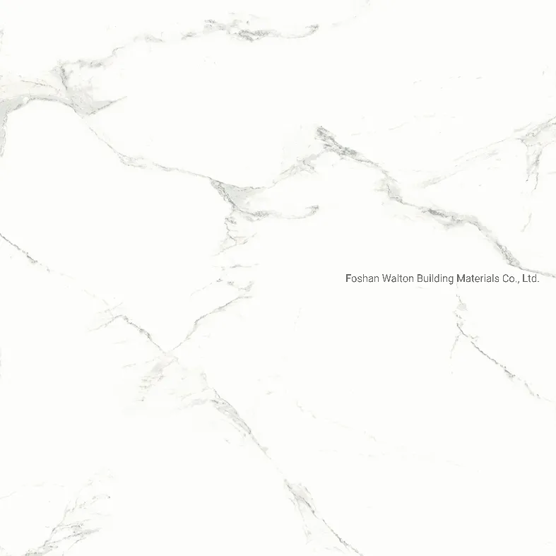 600X600mm on Sale Building Material Glazed Porcelain Tile Floor Tile (CK6Y039PA)