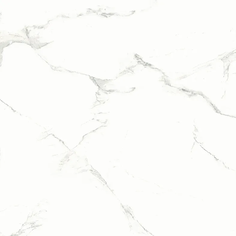 600X600mm on Sale Building Material Glazed Porcelain Tile Floor Tile (CK6Y039PA)