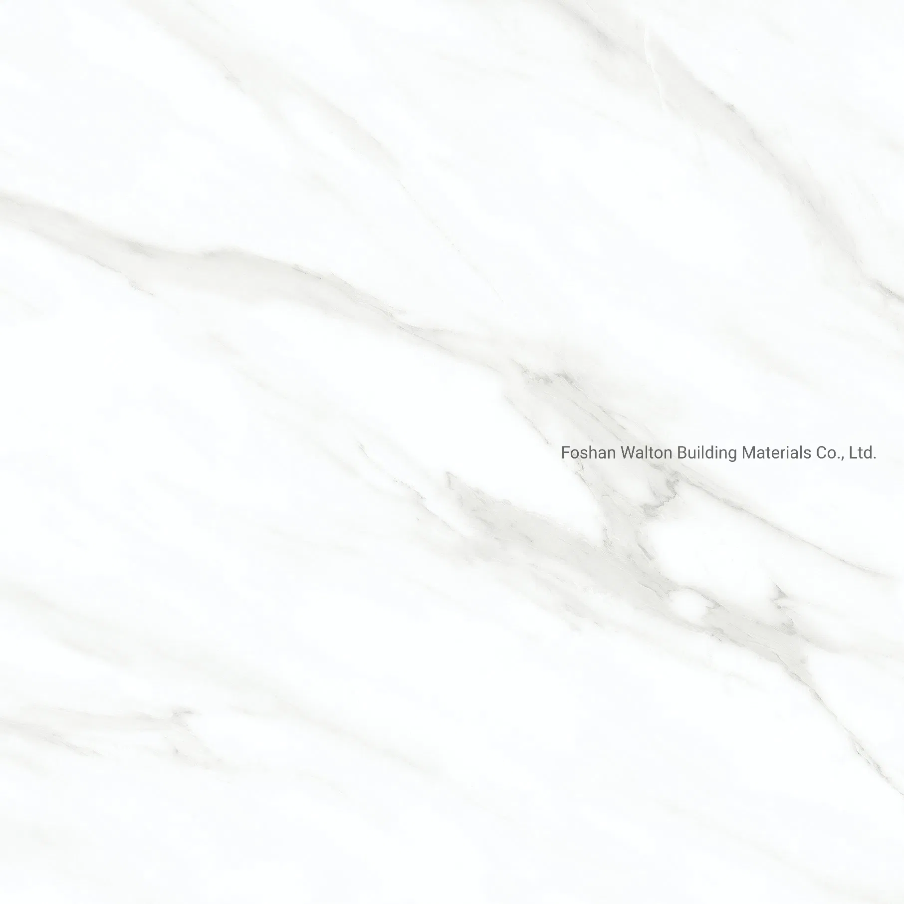 600X600mm on Sale Building Material Glazed Porcelain Tile Floor Tile (CK6Y091PA)