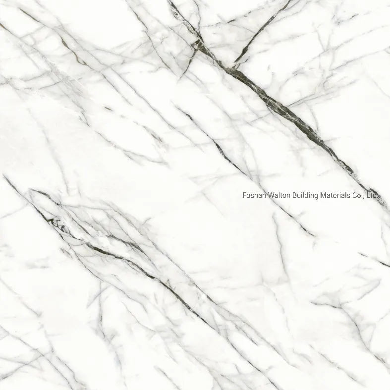 600X600mm on Sale Building Material Glazed Porcelain Tile Floor Tile (CK6Y246PA)