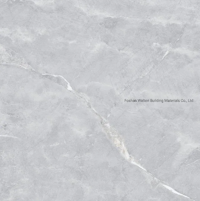 600X600mm on Sale Building Material Glazed Porcelain Tile Floor Tile (CK6Y414PA)