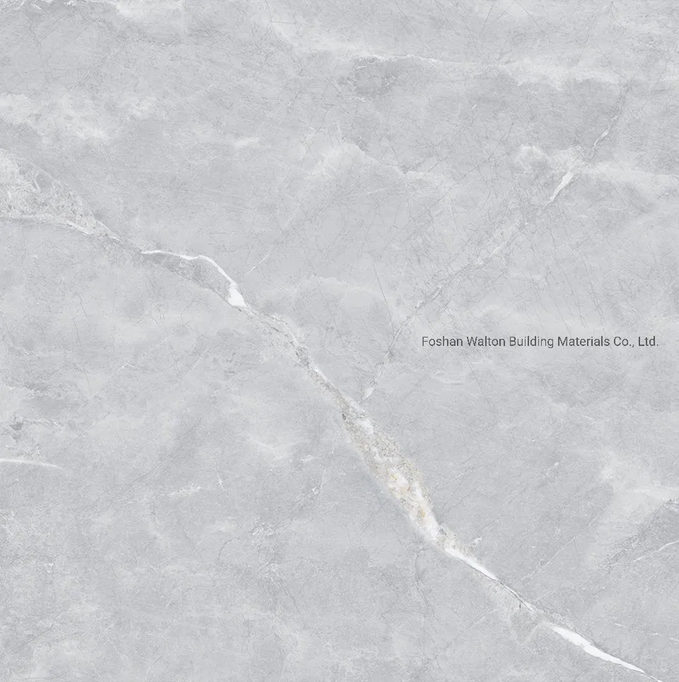 600X600mm on Sale Building Material Glazed Porcelain Tile Floor Tile (CK6Y414PA)