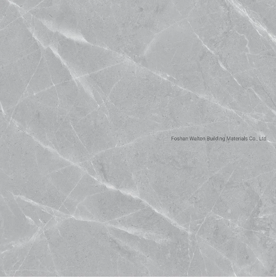 600X600mm on Sale Building Material Glazed Porcelain Tile Floor Tile (CK6Y415PA)