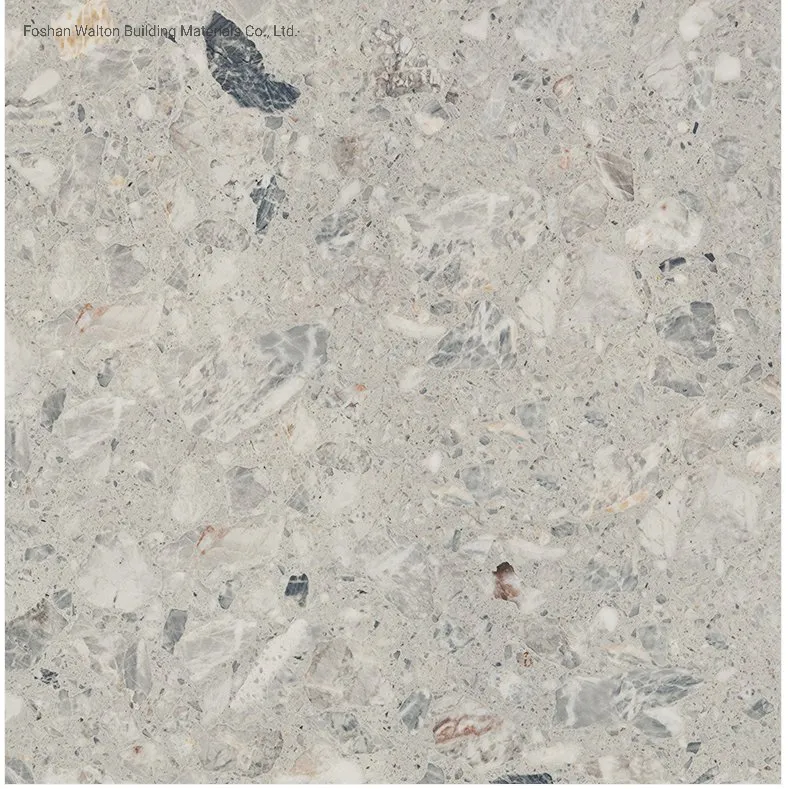 600X600mm Unique Color on Sale Building Material Rustic Porcelain Tiles (WTZ6608C)