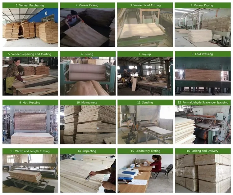 Best Quality Poplar LVL with Door Frame/Packing Poplar LVL Plywood /Door Frame LVL Plywood