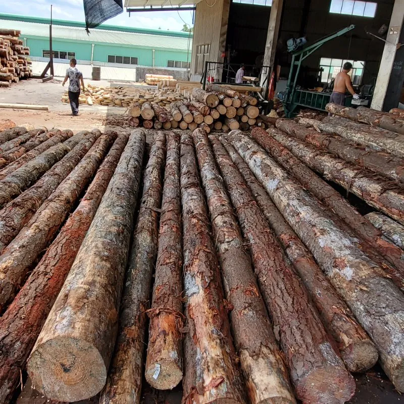 Brown/Black Good Quality Construction Plywood/ Brown Film Faced Plywood