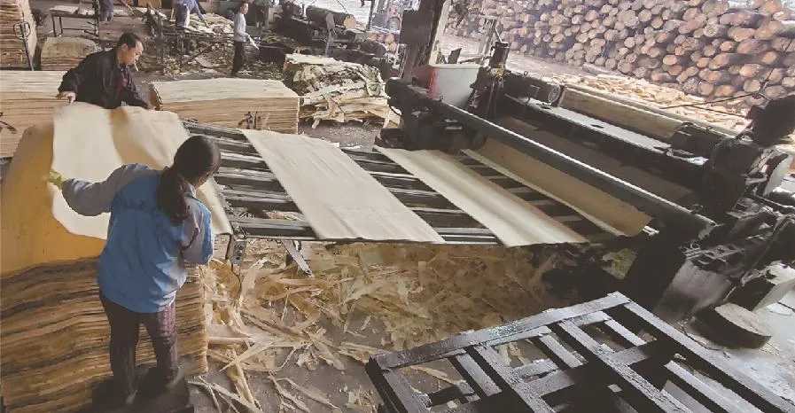 Concrete Formwork Film Faced WBP Glue 18mm Full Pine Core Shuttering Plywood