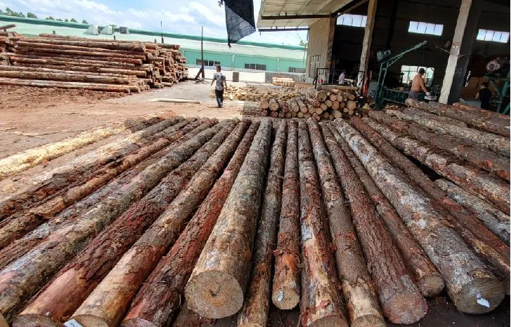 Concrete Formwork Film Faced WBP Glue 18mm Full Pine Core Shuttering Plywood