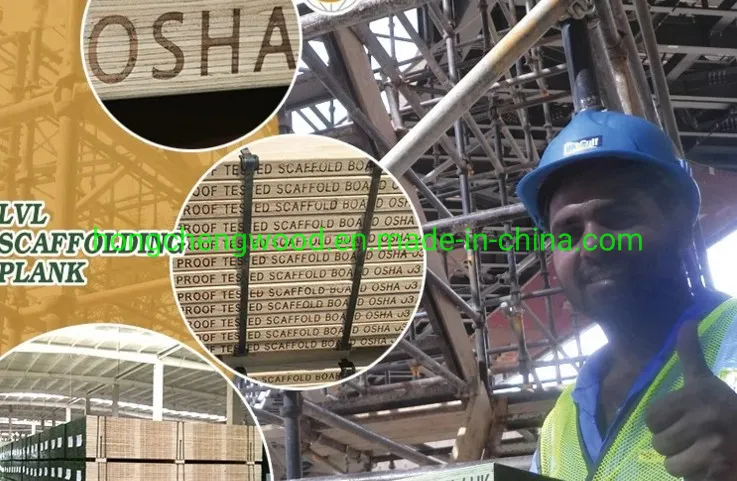 F8 Grade Radiata Pine Scaffold LVL Board for Buliding Constrction