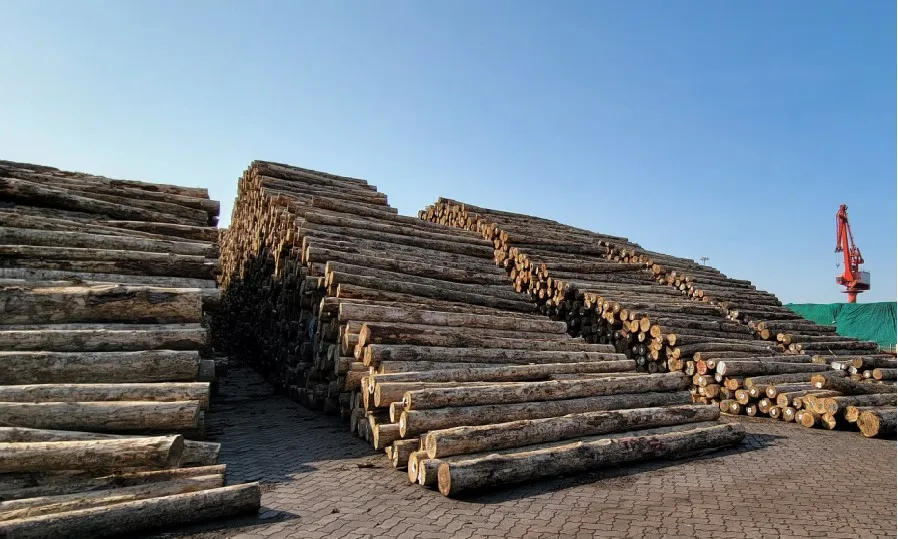 Imported Pine Wood Vietnam Plywood Sheets Marine Plywood Film Faced Plywood