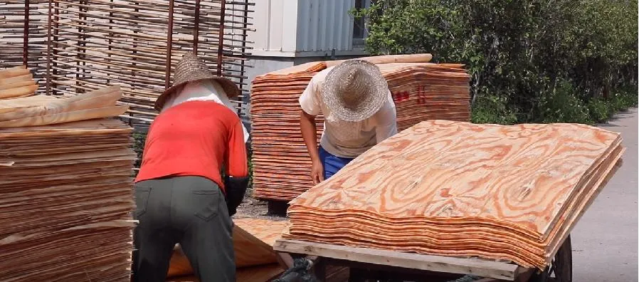 Imported Pine Wood Vietnam Plywood Sheets Marine Plywood Film Faced Plywood