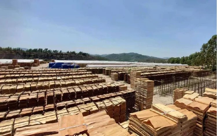 Imported Pine Wood Vietnam Plywood Sheets Marine Plywood Film Faced Plywood