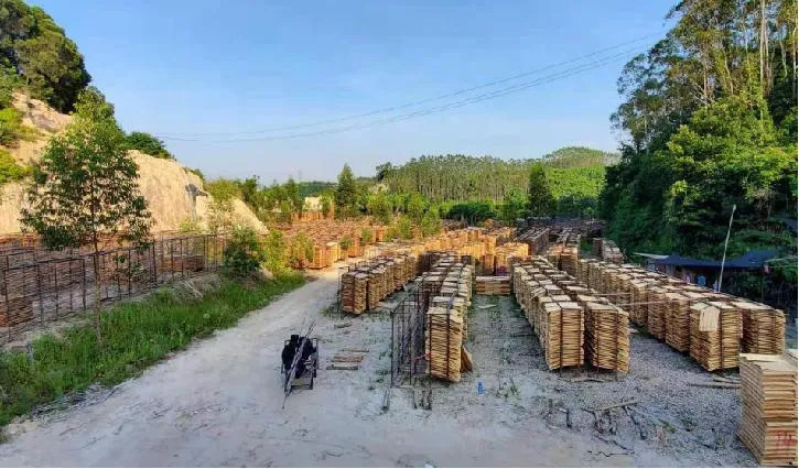 Imported Pine Wood Vietnam Plywood Sheets Marine Plywood Film Faced Plywood