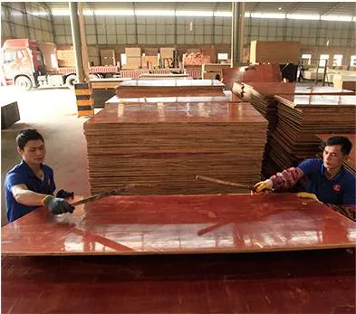 Red Film Faced Plywood for Construction Red Shuttering Plywood Boards