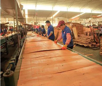 Red Film Faced Plywood for Construction Red Shuttering Plywood Boards