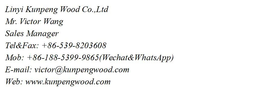 Red Film Faced Plywood for Construction Red Shuttering Plywood Boards